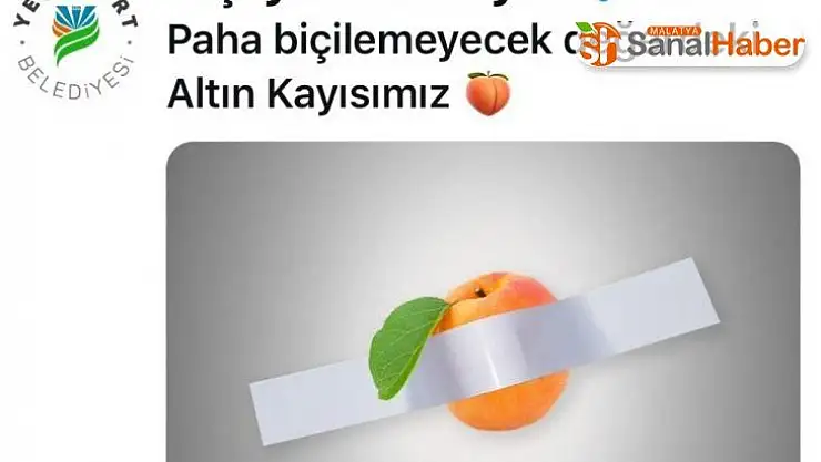 120 bin dolarlık muza kayısılı gönderme