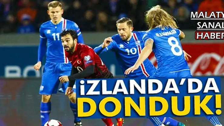 İzlanda Türkiye maçı özeti
