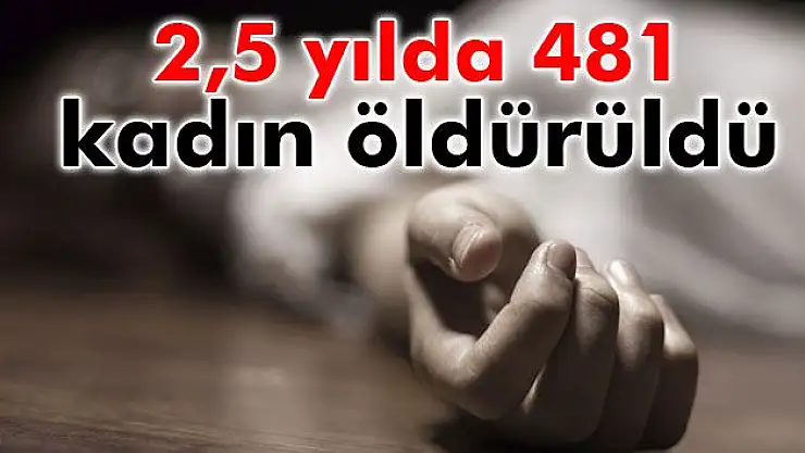 2,5 yılda 481 kadın öldürüldü