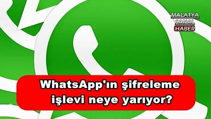 WhatsApp'ın şifreleme işlevi neye yarıyor?