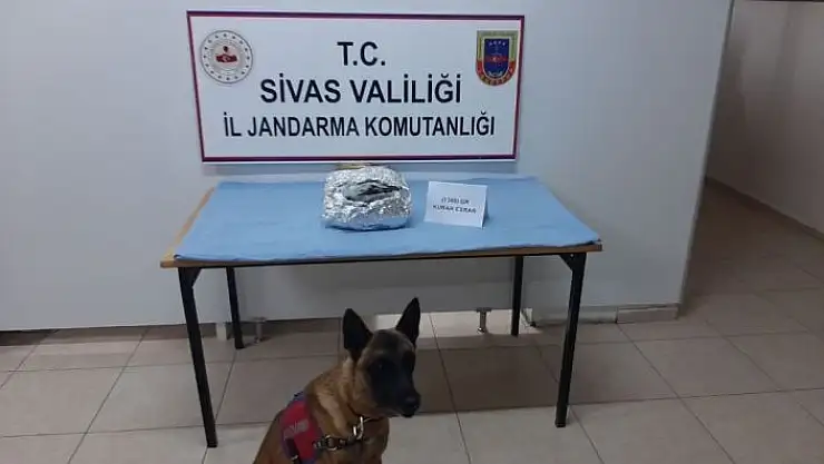 '15 olayda 21 kişi hakkında işlem yapıldı'