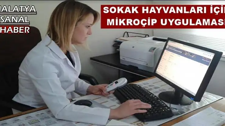 MALATYA'DA SOKAK HAYVANLARI İÇİN MİKROÇİP UYGULAMASI
