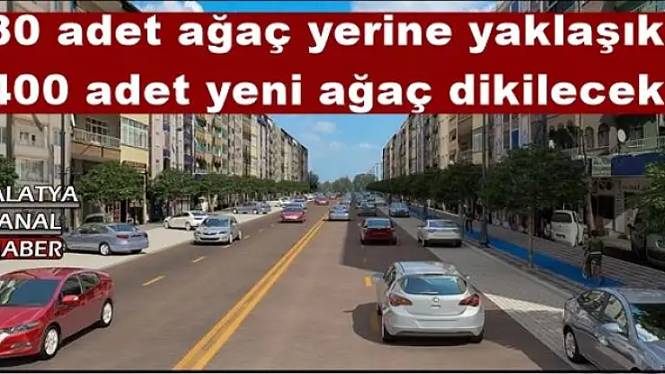 80 adet ağaç yerine yaklaşık 400 adet yeni ağaç dikilecek