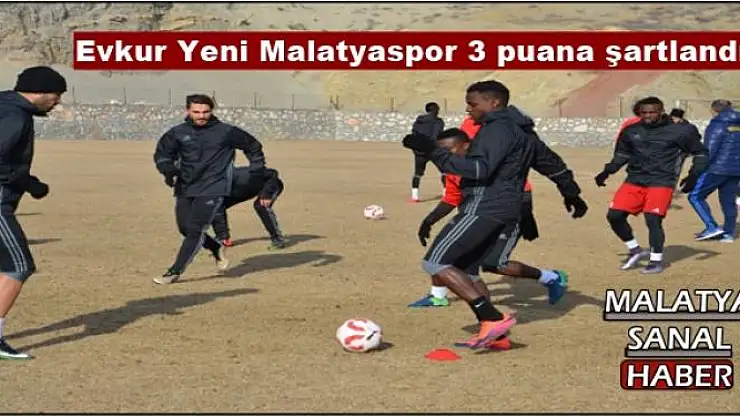 Evkur Yeni Malatyaspor 3 puana şartlandı