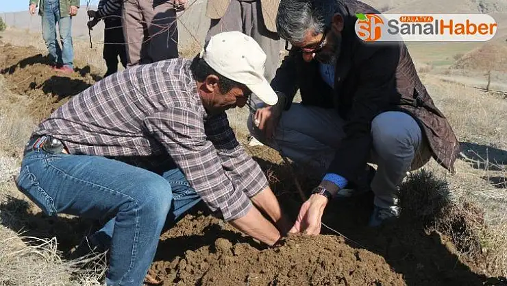 2 Bin Badem fidanı toprakla buluştu