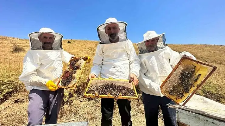 '2000 rakımda tescilli geven balının hasadı başladı'