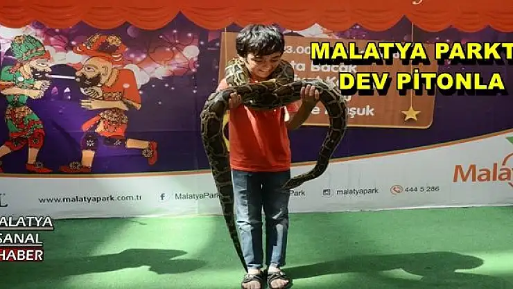 MALATYA PARKTA DEV PİTONLA