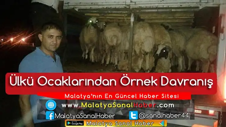 Malatya Ülkü Ocakları 110 aileye kurbanlık dağıttı