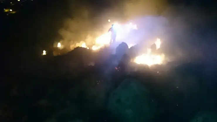 Malatya´da orman yangını