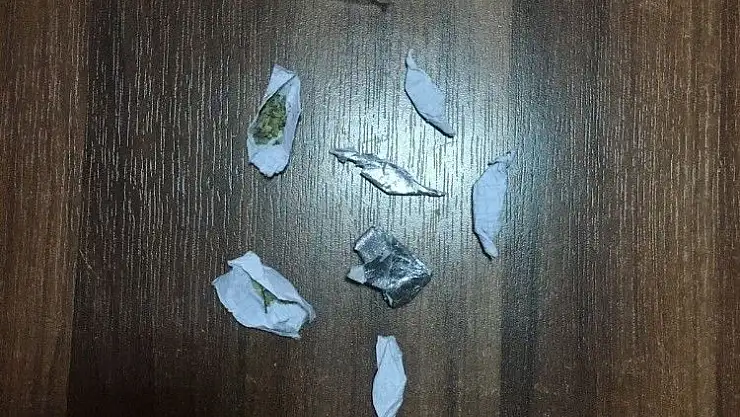 'Bonzai satıcısı tutuklandı'