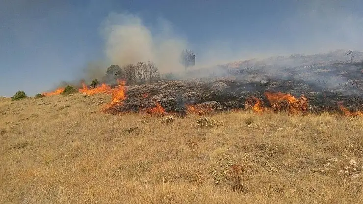 'Sivas´ta örtü yangını'