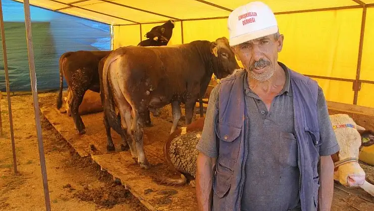 'Yemde uygulanan vergi indirimi hayvan fiyatlarını yükseltti'