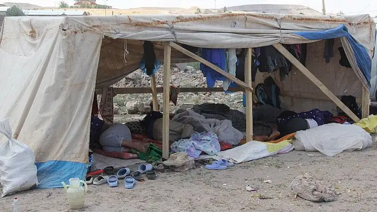 'Mevsimlik işçilerin zorlu yaşam mücadelesi'