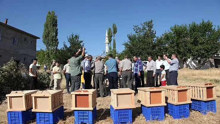 Malatya'da Kınalı keklikler doğaya salındı