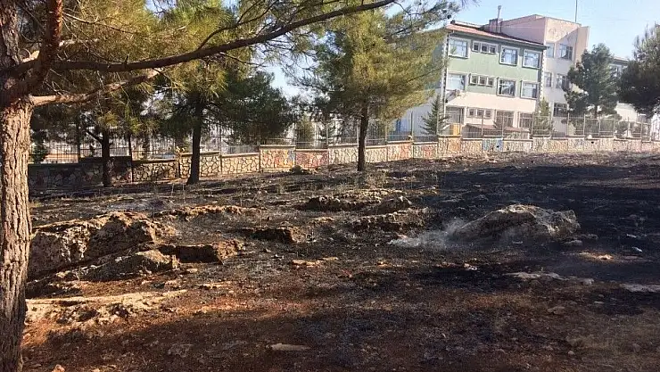 'Ot yangını ormanlık alana sıçradı'