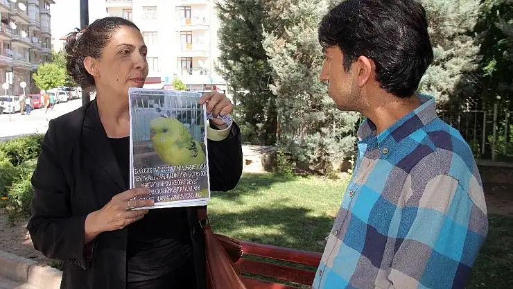 'İlan asıp, kuşunu arıyor'