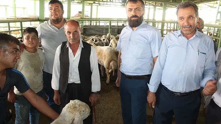 Malatya'da Kurbanlıklar pazara indi, sahte para ve karşılıksız çeke dikkat