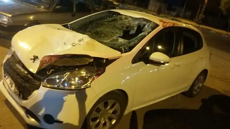 'Aracın çarptığı ineğe bakmak için karşıya geçerken canından oldu'