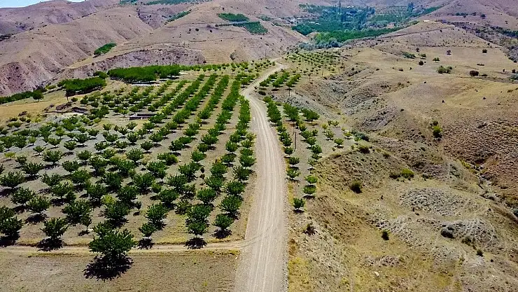 Büyükşehir Belediyesi yol çalışmalarına devam ediyor