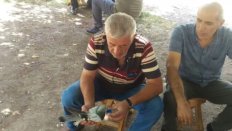 'Susuz kalan güvercine elinde su içirdi'