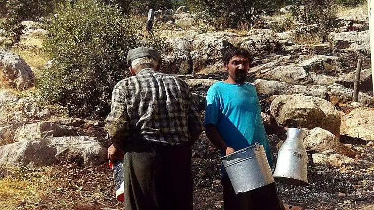 'Otluk yangını ormana sıçramadan söndürüldü'