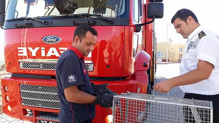 'Direkte mahsur kalan yaralı güvercini itfaiye kurtardı'