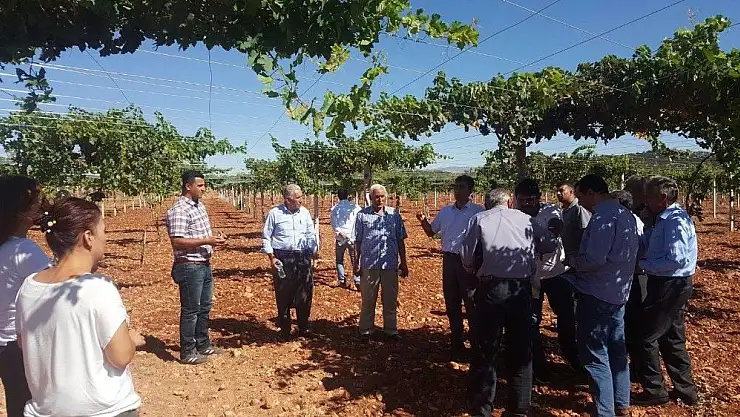 'Çiftçilere bağcılıkta çardak sistemi projesi anlatıldı'
