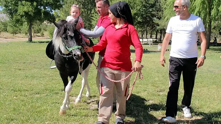'Elazığ´da at sevgisi, ücretsiz at binme ile aşılanıyor'
