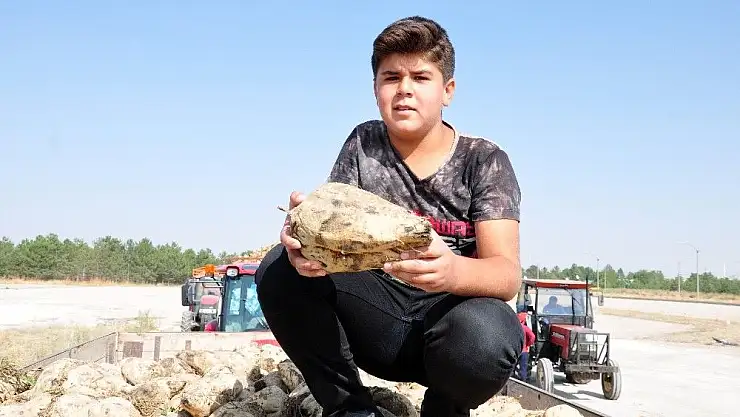 'Elbistan Şeker Fabrikası´nda pancar alımına başlandı'