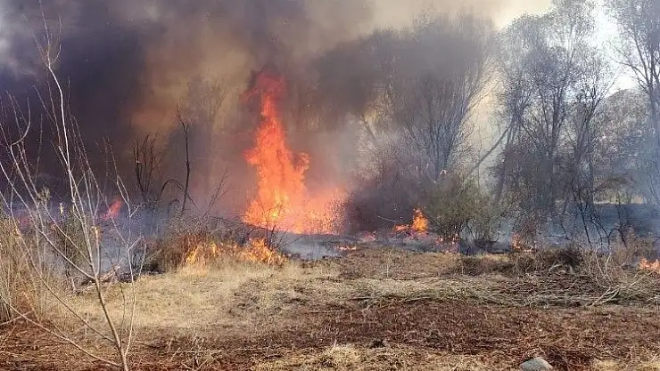 Malatya´da orman yangını korkuttu