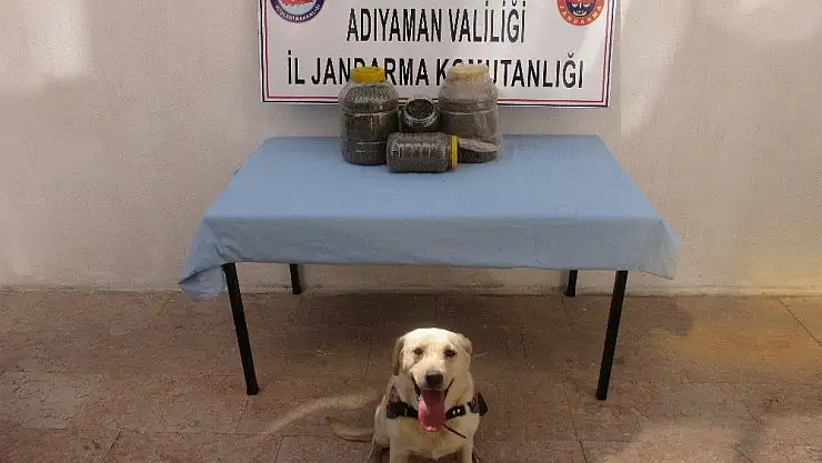 'Jandarma uyuşturucu madde ele geçirdi'