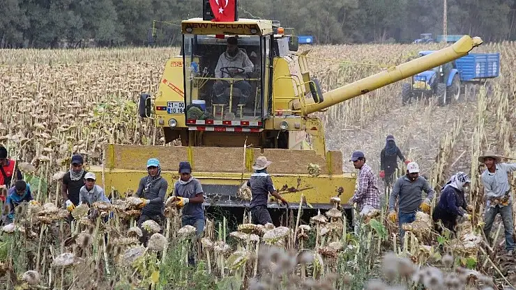 '´Soğukta yapamazsın´ dediler, şimdi paraya para demiyor'