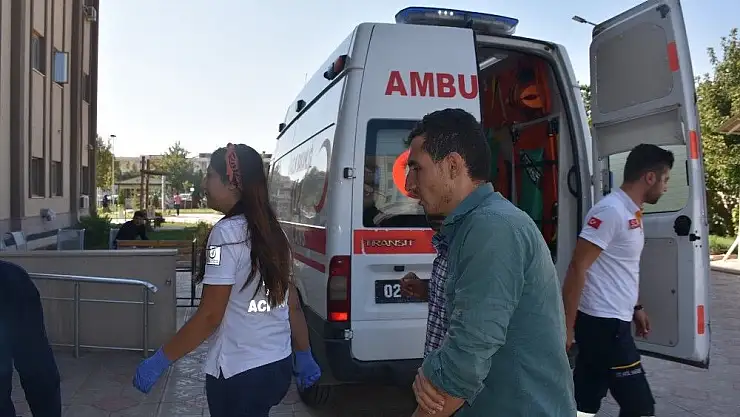 'Kahta´da 1 kişiyi yılan soktu'