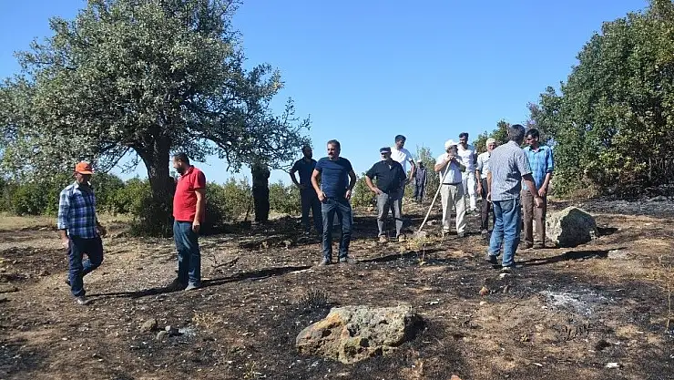 'Sivas´ta ormanlık alanda yangın'