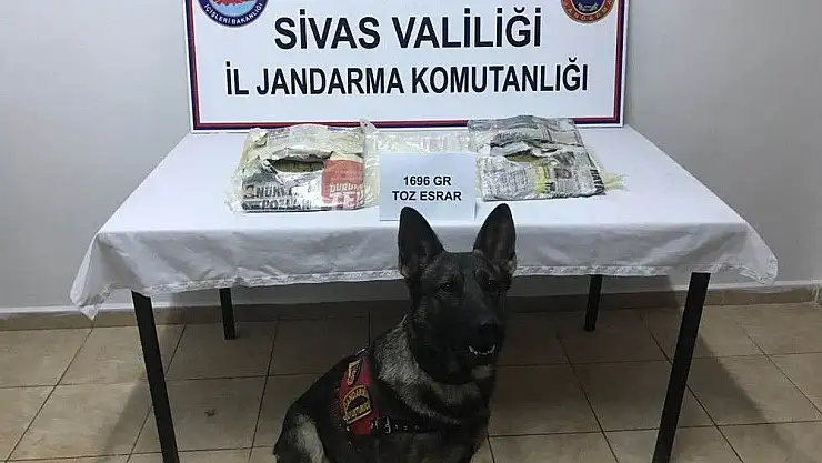 'Yolcu otobüsünde vücuduna sardığı esrarla yakalandı'