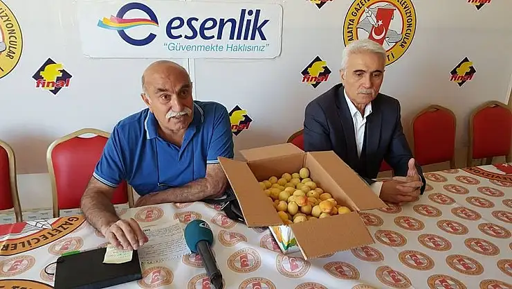 Malatya kayısısı için harekete geçti