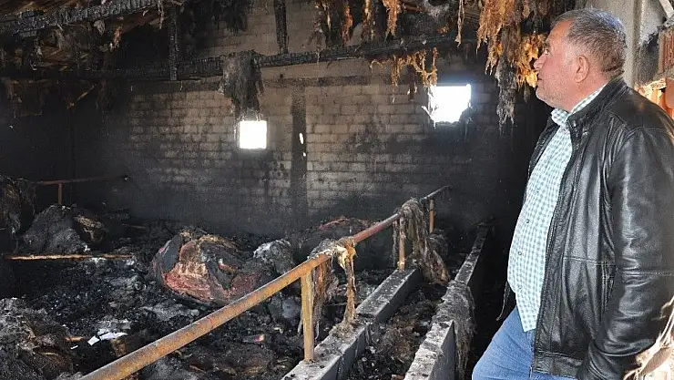'Hamile inekler yangında telef oldu'