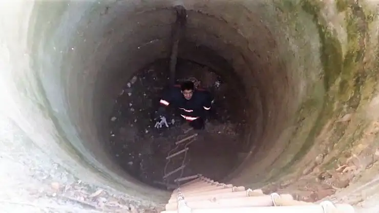 '10 metrelik kuyuya düşen kedi kurtarıldı'