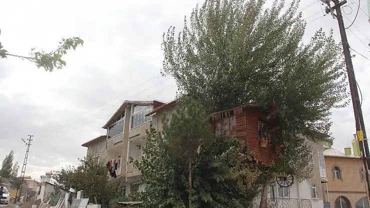 'Ağaç evin yürek burkan öyküsü'