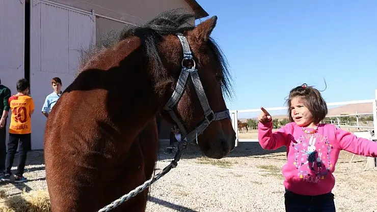 'Çocukların at binme keyfi'