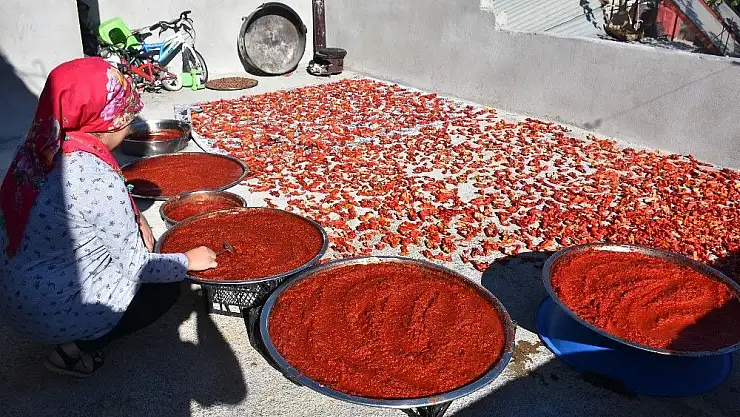 'Kahta´da salça ve kurutmalık telaşı'