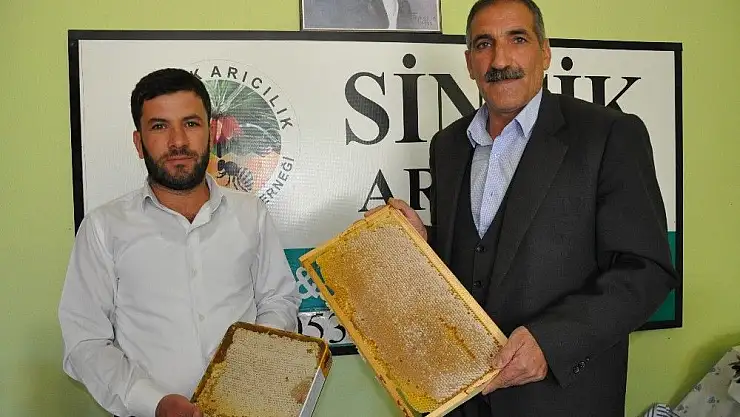 'Sincik´te 100 ton organik bal üretimi hedefleniyor'