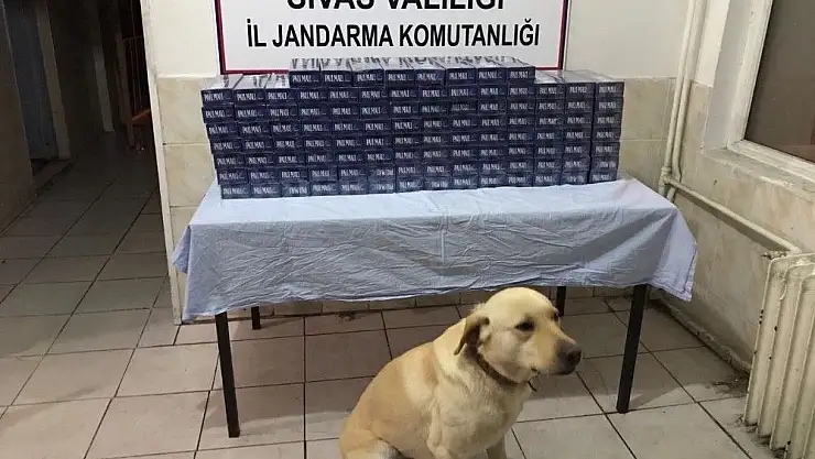 'Altı kişi hakkında kaçakçılığıktan işlem yapıldı.'