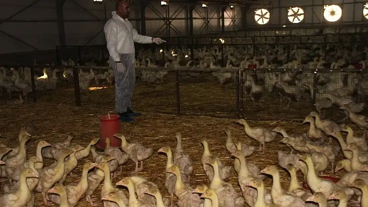 'Erdoğan´ın  çağrısıyla yatırımı Almanya yerine  Elazığ´a  yaptı'