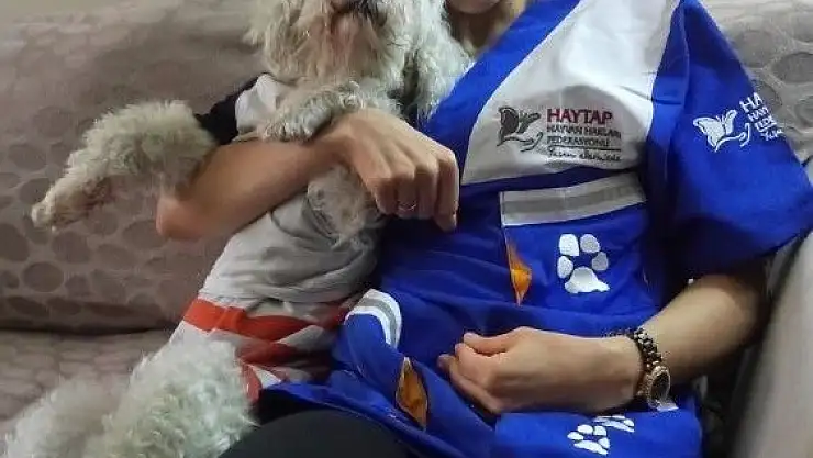 'Haytap Sivas İl Temsilcisi Yıldızlı: ''Soğuk kış günlerinde sokak hayvanlarını unutmayalım'''