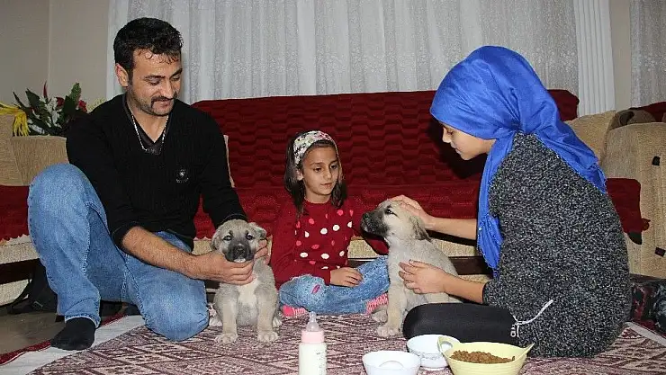 'Yavru kangallara baba şefkati'