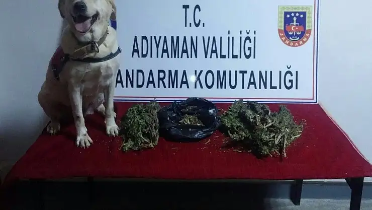 'Jandarma uyuşturucuya geçit vermiyor'