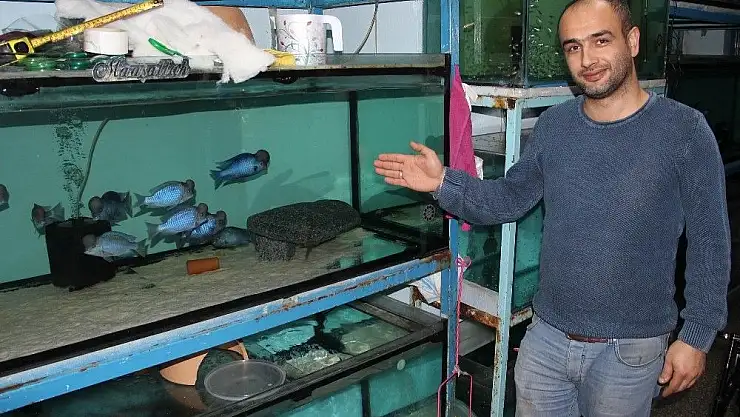 'Bu balığı görenler hayrete düşüyor'