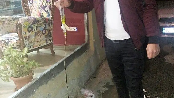 'Hasta sokak köpeğine serum bağlattı'