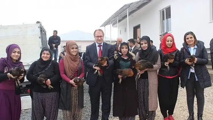 '5 kadın, Kaymakamlık desteği ile yumurta tavukçuluğuna başladı'